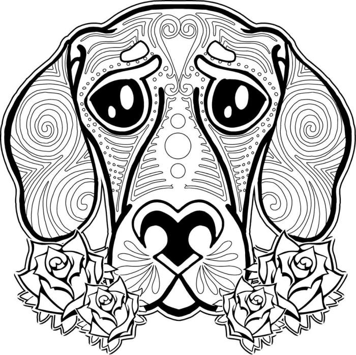 Cool animal coloring pages