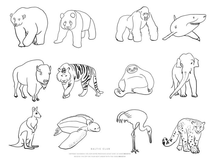 Wildlife animal coloring pages