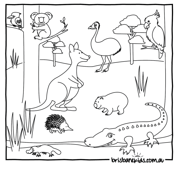 Animal adaptations coloring page answers