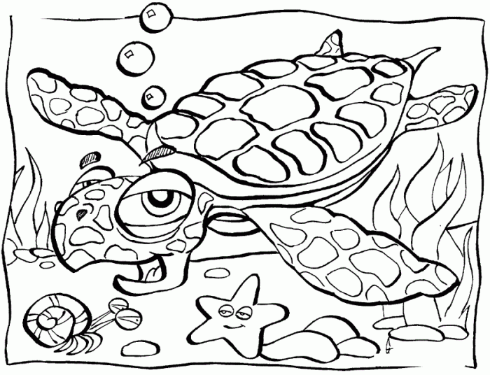 Coloring pages for ocean animals