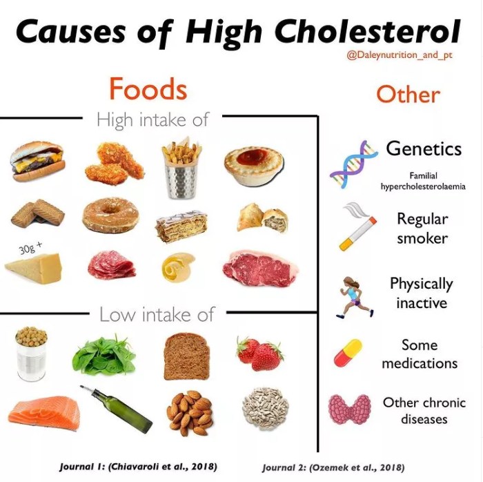 Cholesterin erhöht ernährung kinder