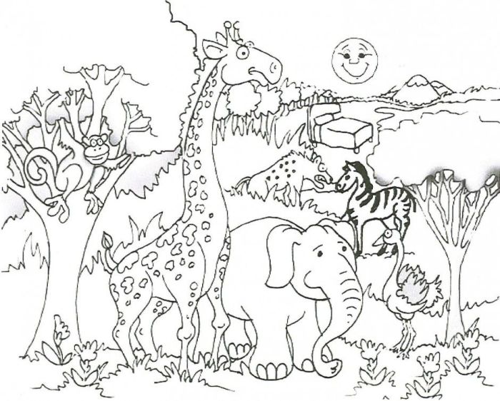 Safari animal coloring pages