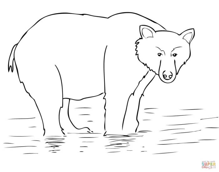 Coloring pages bear polar animals alaska tundra kids printable arctic color kidsongs brown toyota clipart mountain baby print popular bears