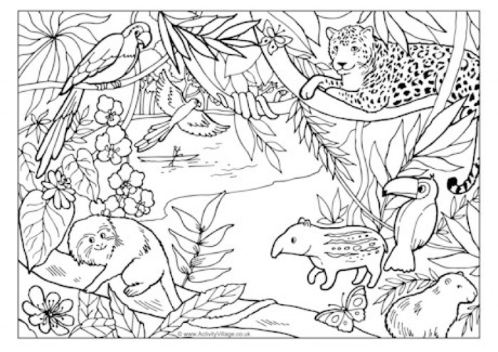 Coloring pictures jungle animals