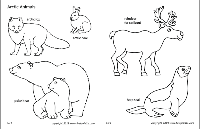 Arctic animal coloring pages