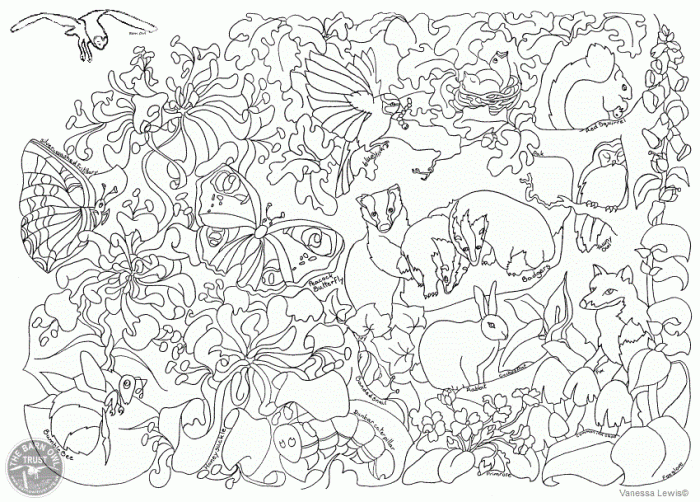 Wildlife animal coloring pages