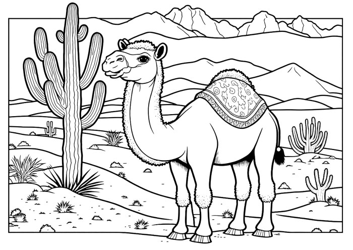 Desert animals coloring sheets