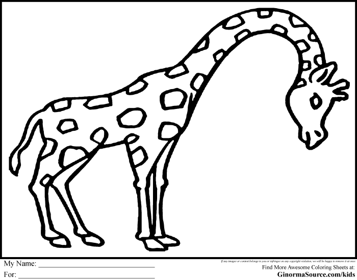 Animal simple coloring pages