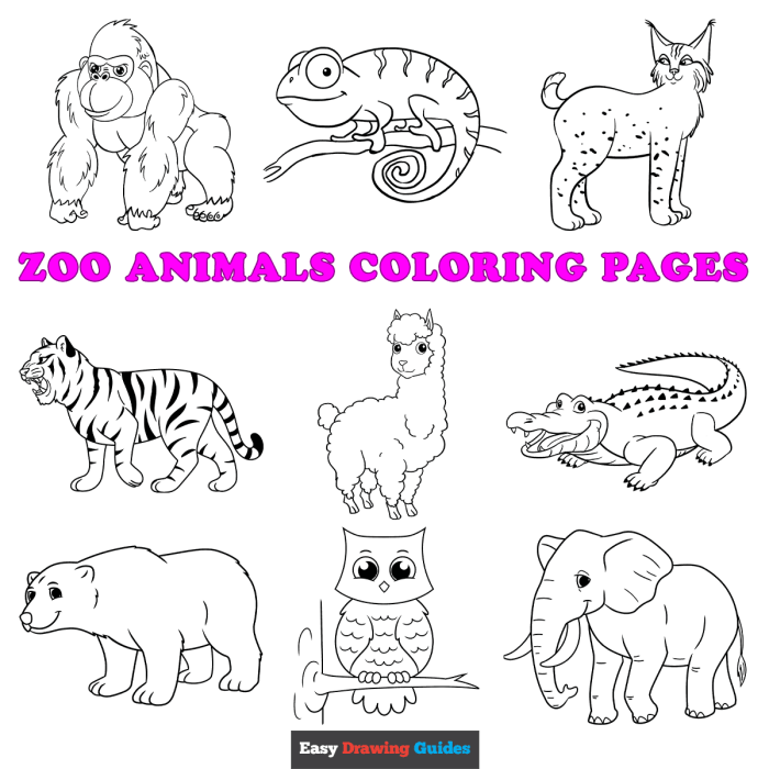 Zoo animal coloring pages printable