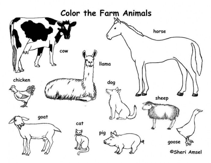 Farm animals coloring page