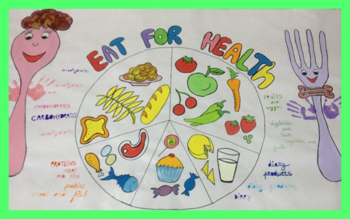 Nutrition cancer diet food patients health project healthy body meal nutrients protein eating wheel carbohydrates foods make fundamentals science chart