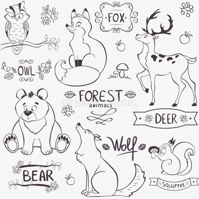 Coloring pages of forest animals