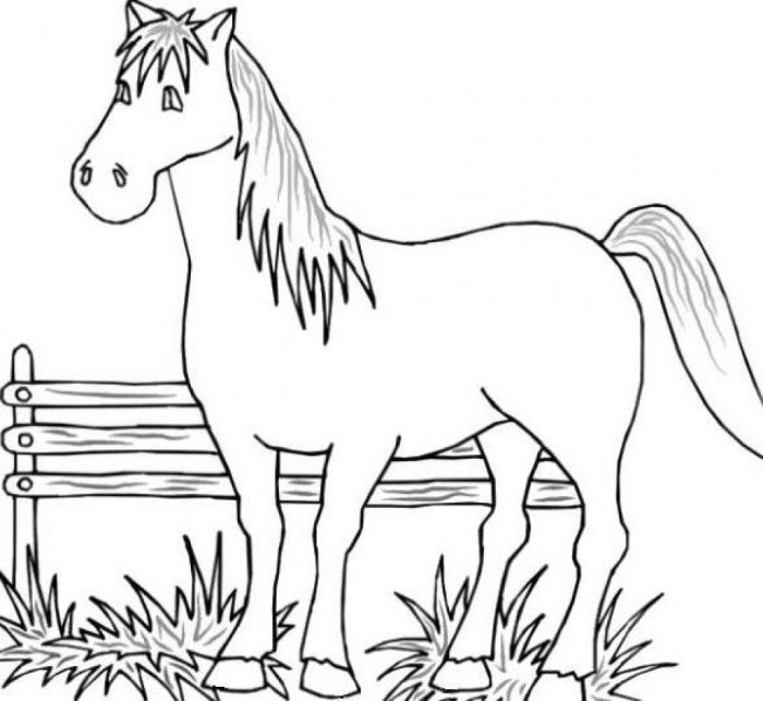 Farm animals printable coloring pages