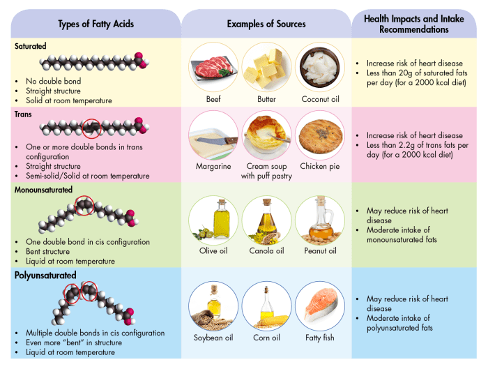 Ernährung und fette erklärt für kinder fallbeispiel