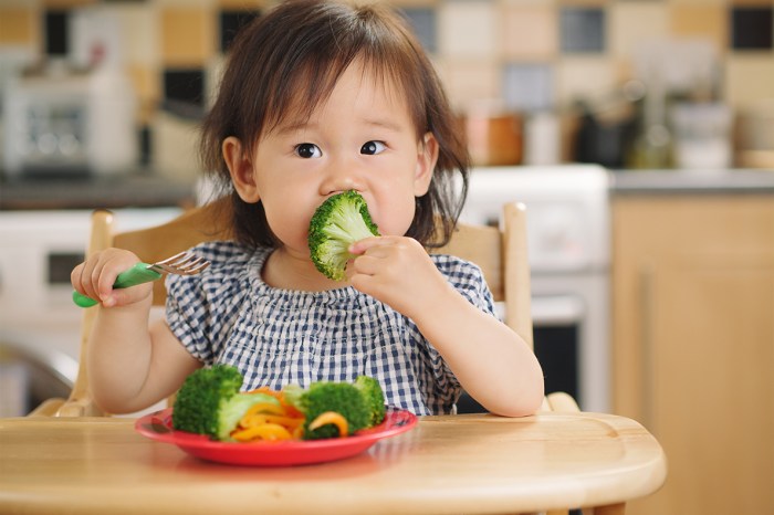 Gesunde ernährung bei kindern studie