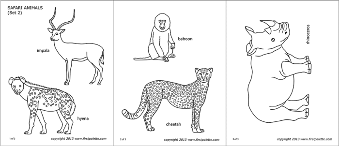 Coloring pages safari animals