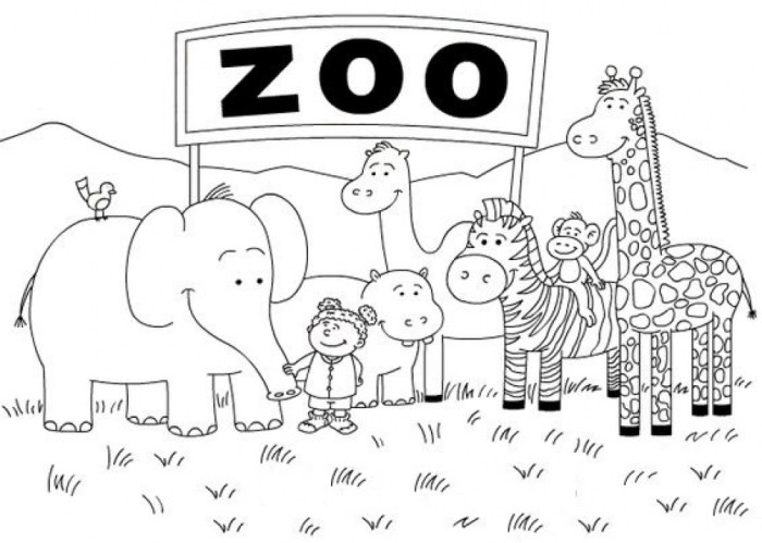 Coloring pages of zoo animals for preschool